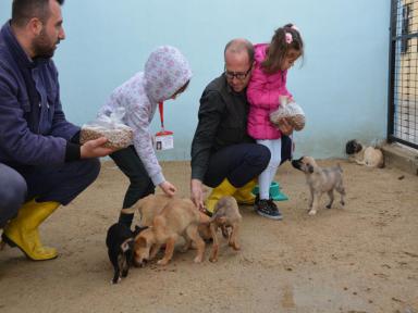 Sokak Hayvanları Geçici Bakımevi