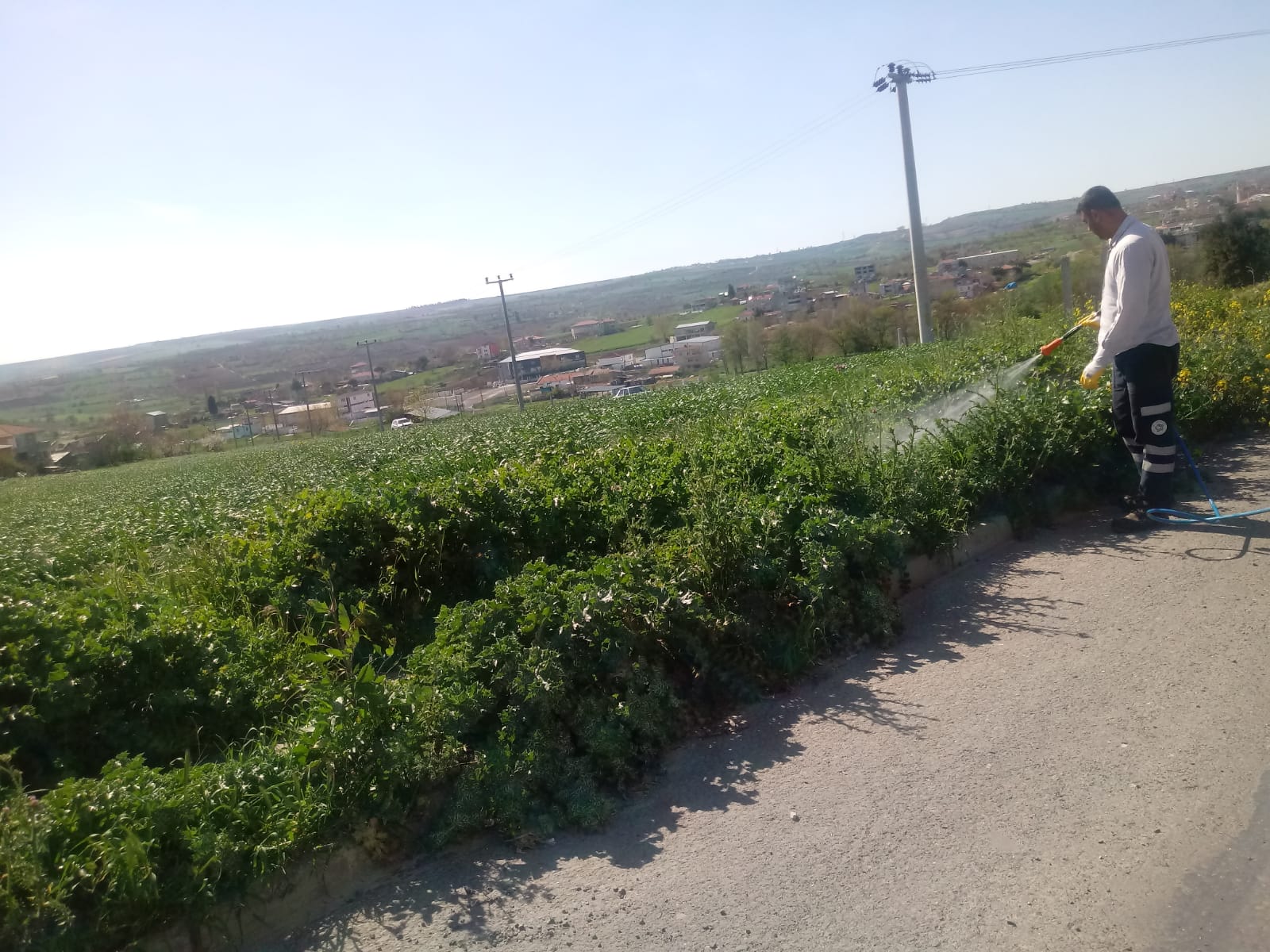 Süleymanpaşa Belediyesi