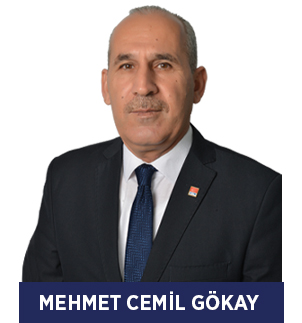 Mehmet Cemil GÖKAY